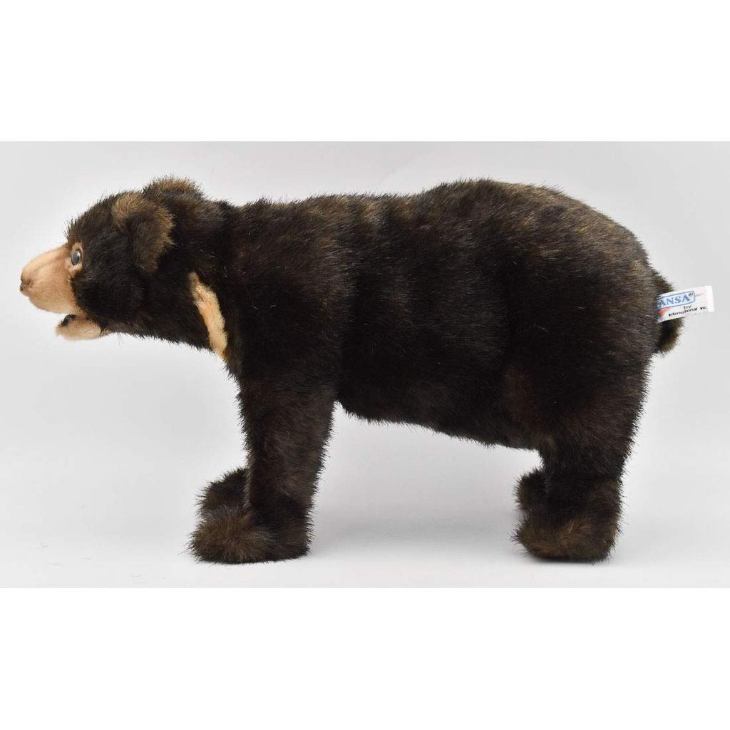Malayan Sun Bear No. 5234