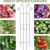 Decorative Garden Plant Trellis Iron Metal Plant Trellis Frame Plant Support Rack  Garden Trellis