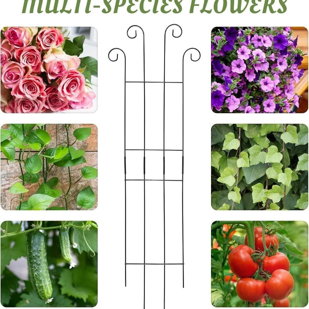 Decorative Garden Plant Trellis Iron Metal Plant Trellis Frame Plant Support Rack Garden Trellis