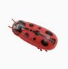 one size – rood