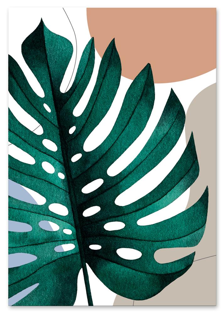 Plakát boho plakáty list monstery