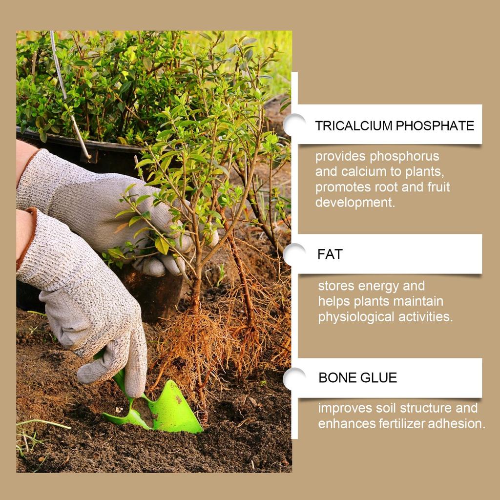 Nutrient Fertilizer For Flower And Plant Growth Plant Nutrient Powder Supplements Soil Nutrients And Is Suitable For Flowers And Houseplants,100g