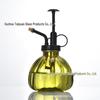 Retro Pumpkin Glass Sprayer for Succulents and Bonsai