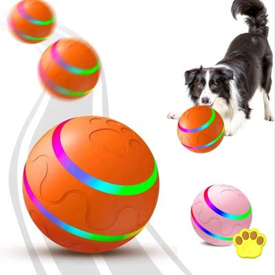 Hunde – Hundespielzeug