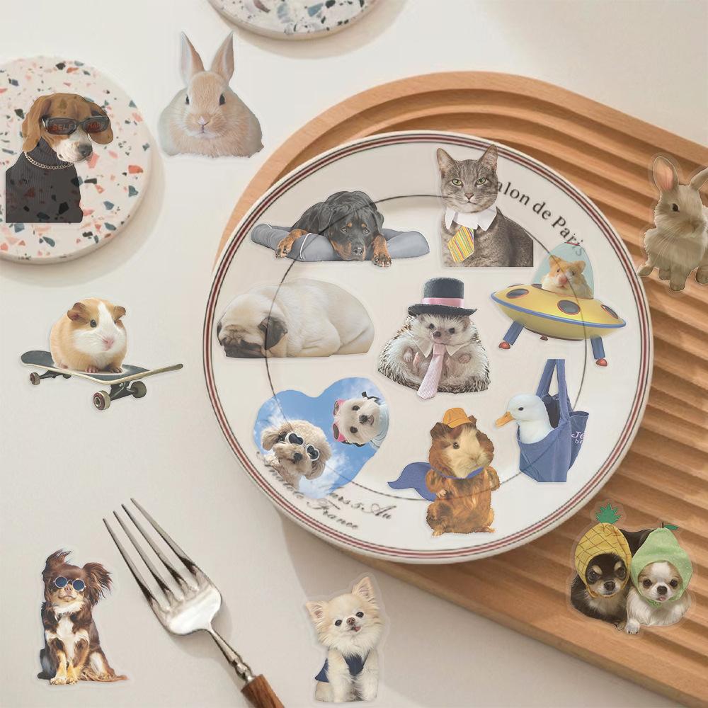 50 Cartoon Cat and Dog Meme Sticker Pack Waterproof Transparent PET Manual Animal Material Decorative Guitar Notebook