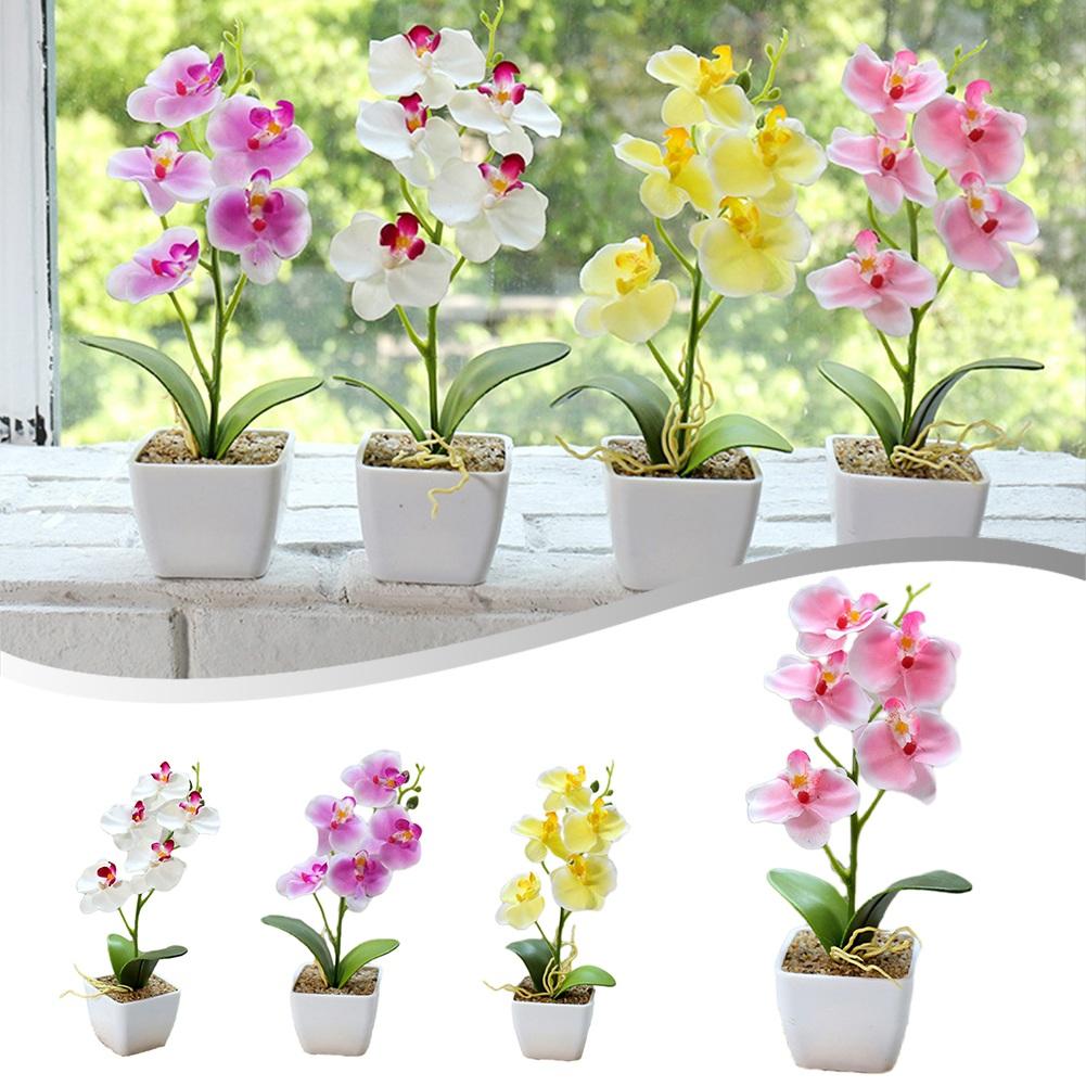 

Beautifully Designed 5head Phalaenopsis Flower Plant Bring Nature Indoors жовтий