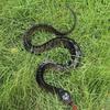 Yousheng Fake Snake Toy, Realistic Rubber Snake with Tongue Out, 17.7-39.4 Inch Lifelike Garden Decor, Bird Deterrent Stress Relief Prank Gift