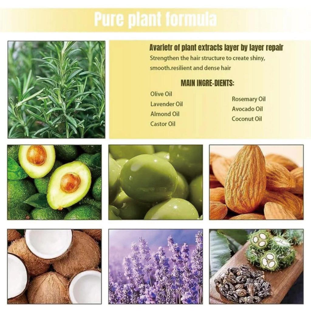 Saç Özü Yağı 5 Doğal Zencefil Saç Yağı Anti Saç Dökülmesini Önleme Kellik Tedavisi Hızlı Besleyici Saç Derisi Saç Bakımı