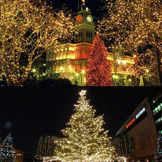 Romantische 20 LED-Lichterketten, Drahtlicht, Sternenschnur, batteriebetriebene Mini-Lichter