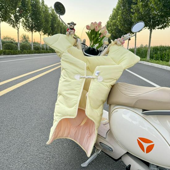 All-Season Electric Car Windshield Cover: Extra Large, Thick, Double-Sided & Waterproof with Side Wings