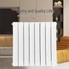 Wanshun Jia Steel Wall-Mounted Hydronic Radiator