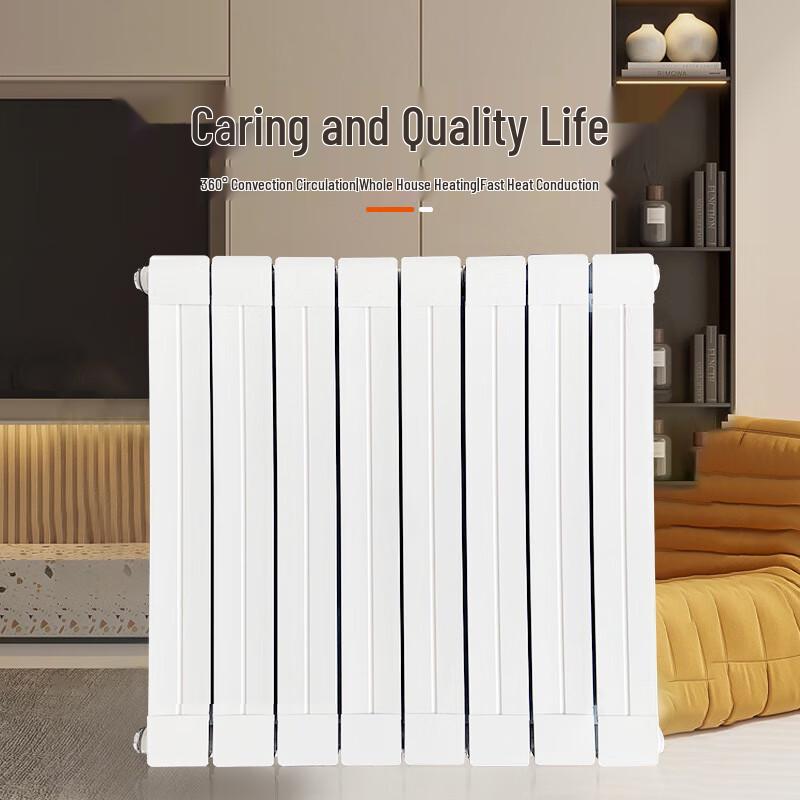 Wanshun Jia Steel Wall-Mounted Hydronic Radiator