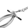 Metal Female Clitoral Clip Clitoral G-Spot Teasing Internal Visual Peeping Vagina Sex Toys Female Hoof Clip