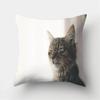 Cute Cat Print Decorative Cushion Pillowcase  Cover Pillow Sofa Living Room