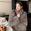 Winter New Environmentally Friendly Fur Stand-up Collar Jacket, High-end Fashionable Warm Thickened Plush Coat