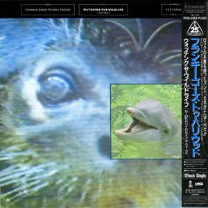 12inch Record FRANKIE GOES TO HOLLYWOOD  Watching The Wildlife  Wildlife V R15D2065 ISLAND 1987 Japan Obi Dance  Electronica Used