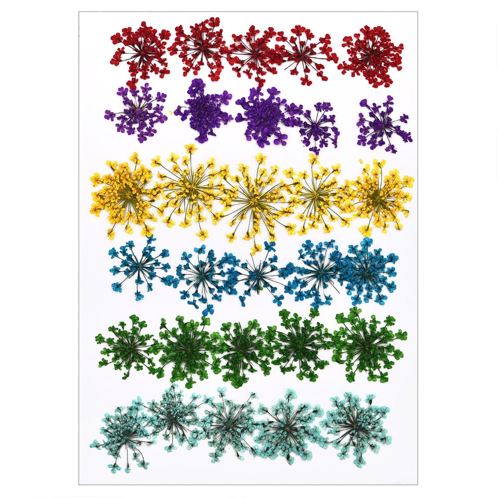 30PCS/Bag Dried Flowers Decor DIY UV Resin Mold Fillings Nail Art Flowers Stickers For Jewelry Making Home Decoration Handicraft