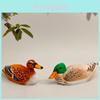 Decor – Houten decorstukken