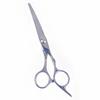 Stainless Steel Barber & Hairdressing Scissors Set: Flat Tooth & Thinning Options