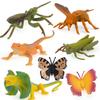 Insect World Model Set For Kids With Pvc Figures And Animal Scene Play