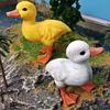 Childrens Pvc Bird Figurines Set For Farm Scene Decor And Learning Activities