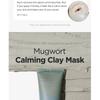 ISNTREE Mugwort Calming Clay Mask
