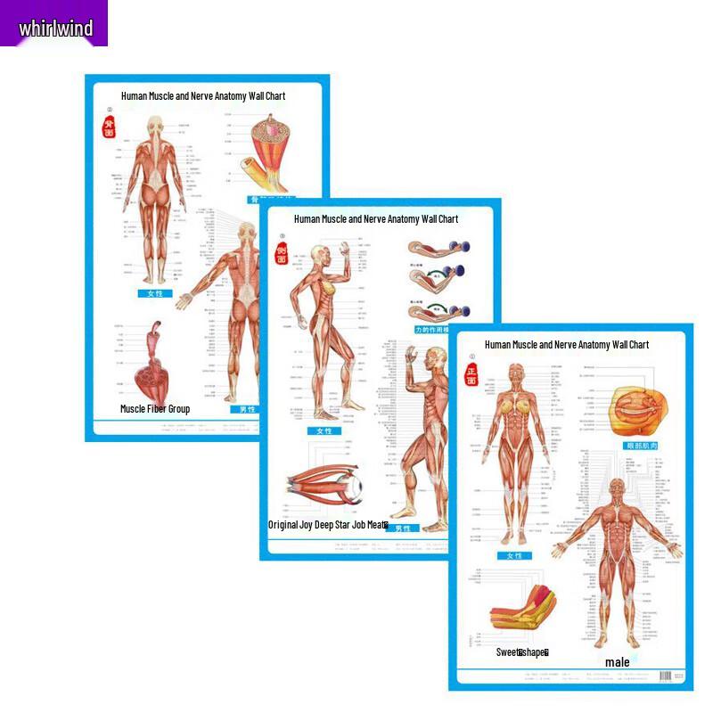 Xuan Shi First Aid Rescue Tool