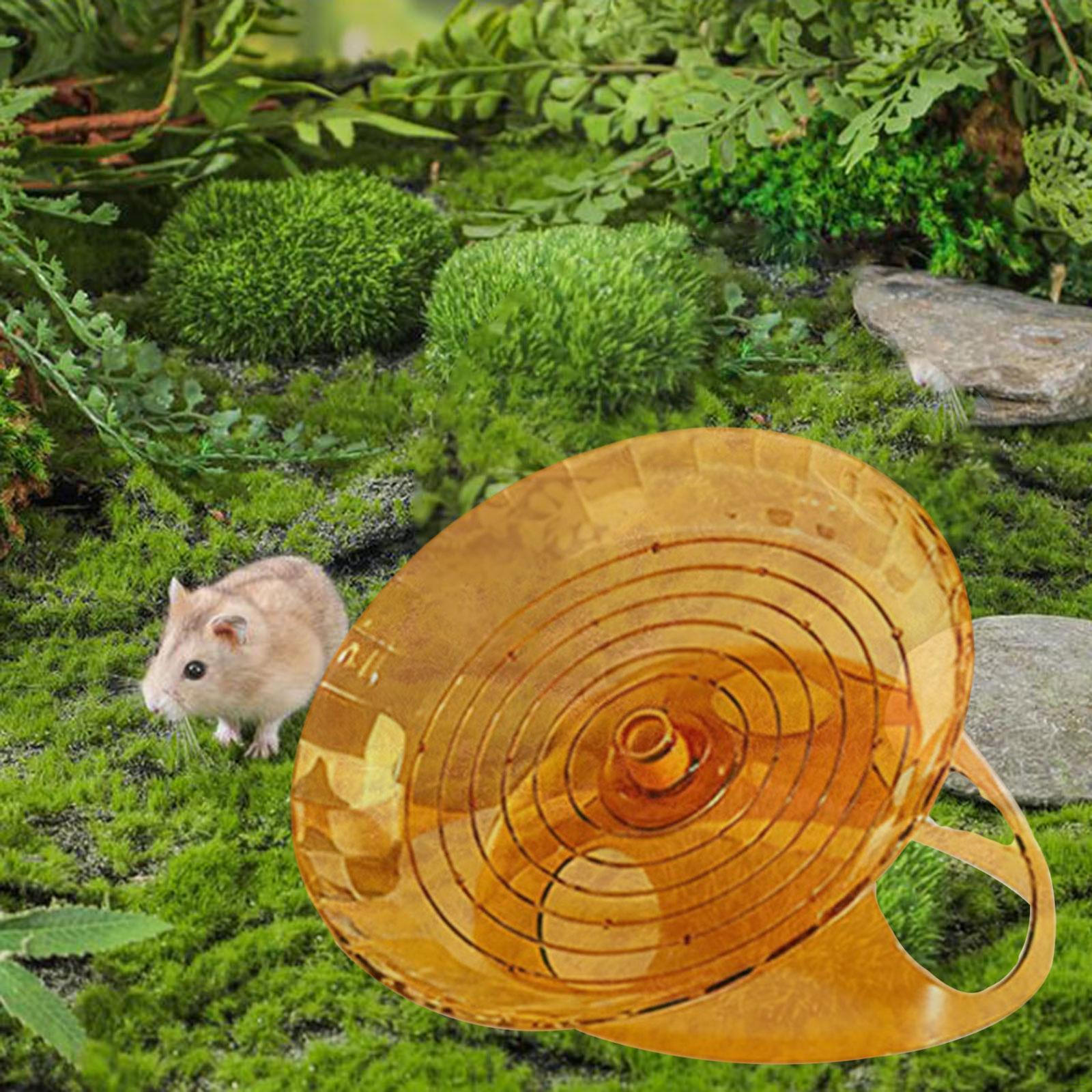 

Колесо для вправ хом яка Декорація клітки Іграшка для збагачення Життєзабезпечення домашніх тварин Круглий Тихий Ролик Обертовий Диск помаранчевий