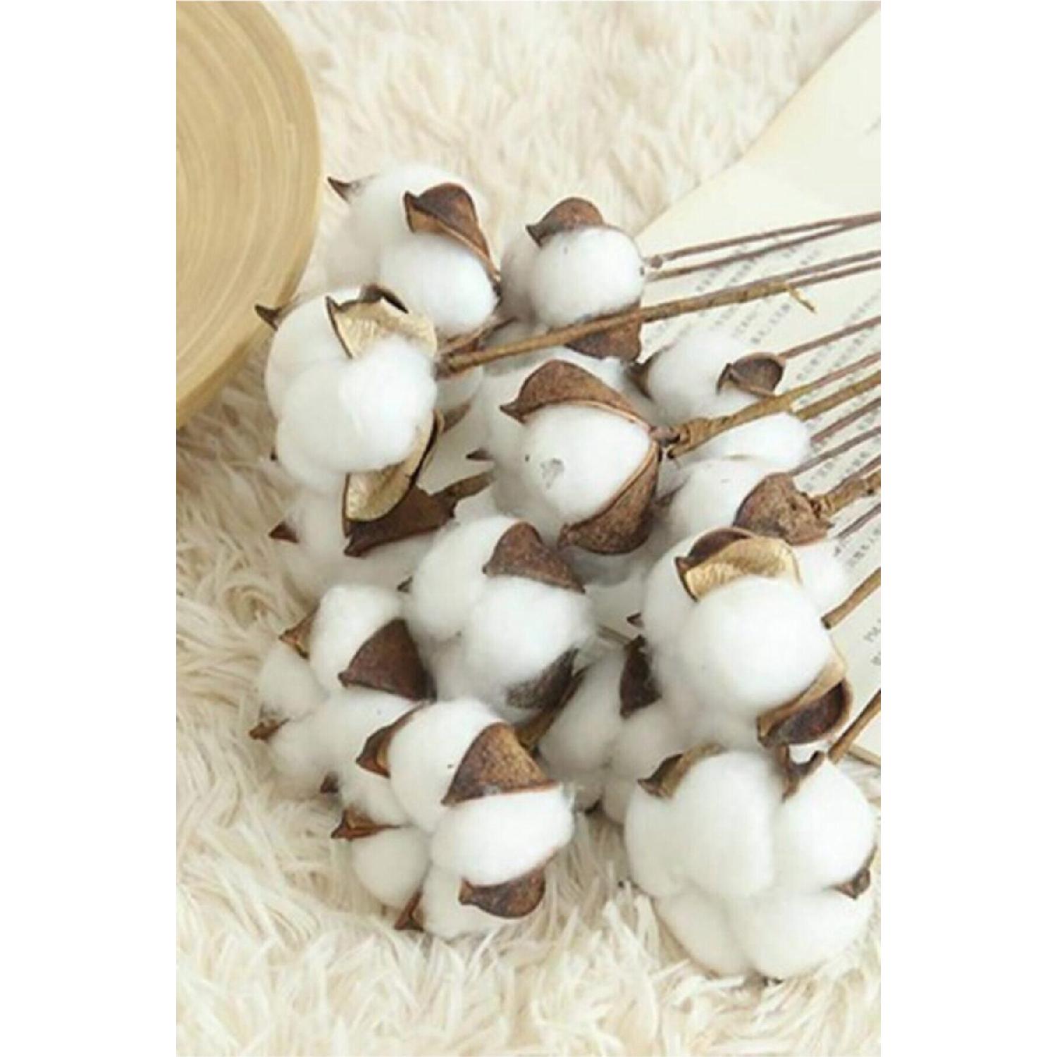 

Natural Cotton Branches 6 Pieces Tek Ebat белый