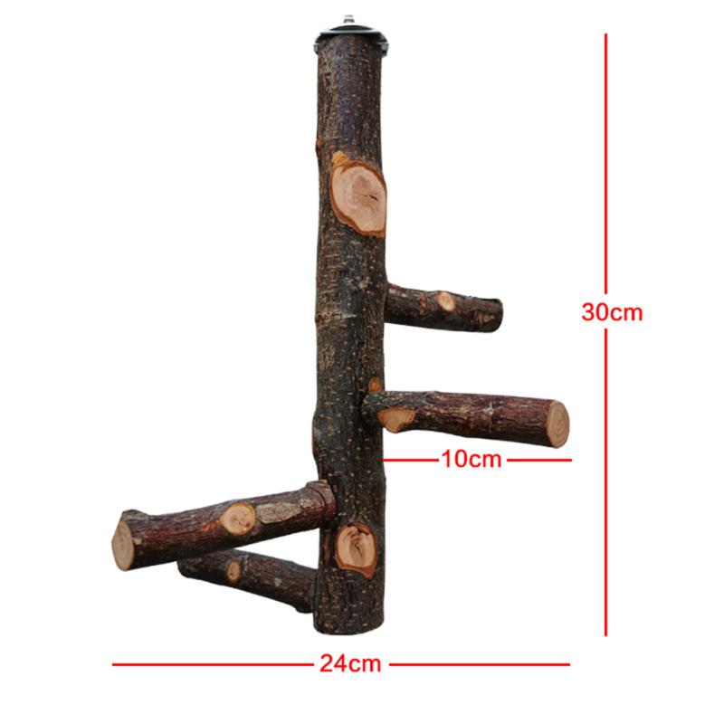 Haustier Papagei Ständer Massivholz Stand Stick Pole Beißen Molaren Klaue Schleifen Spielzeug Vogel Käfig Liefert