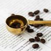 Koffieschep Bag Sealer Roestvrij Staal Maatschepje met Ingebouwde Clip Voedselveilig Essentieel Barista Gereedschap voor Versheid