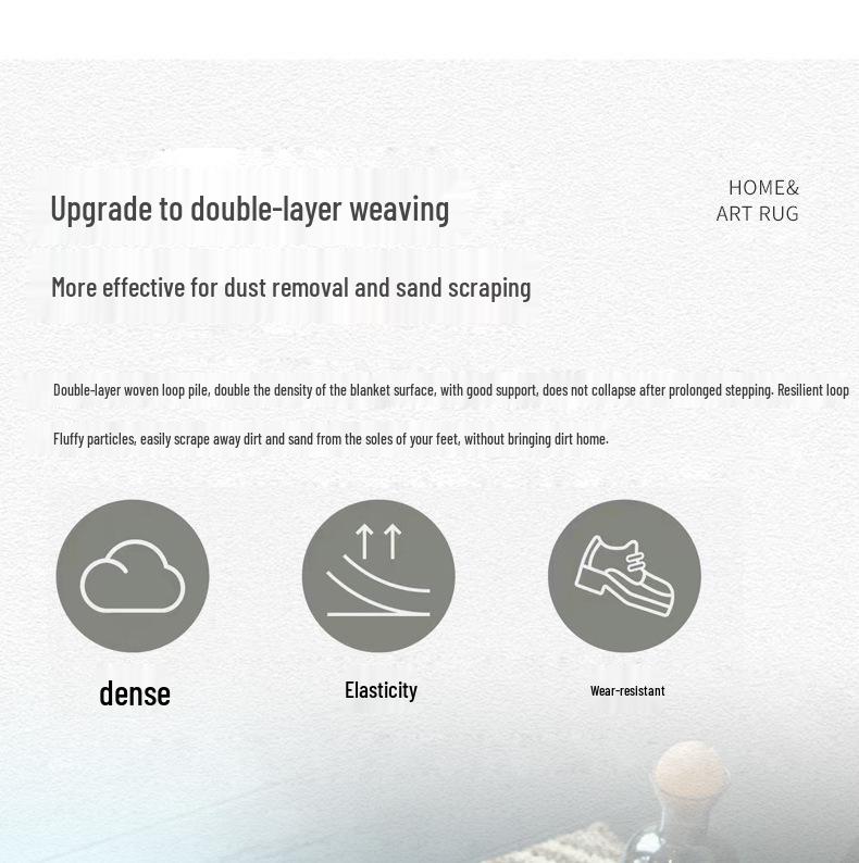 Nordic Style Luxury Entrance Mat - High-End, Non-Slip, Wear-Resistant Dust and Sand Scraper for Hallway and Living Room.
