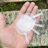 (YOUU06)50 Stück 5cm Süßer Mini Transparenter Blanko-Fächer Kind Kinder DIY Kunstfächer Hochzeit Geburtstagsparty Mitgebsel Freundin Ideen Geschenk
