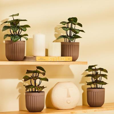 Saksılı Yapay Bitkiler| Gerçekçi Görünüm | Dayanıklı Plastik | Çok Yönlü Kullanım | Bakım Gerektirmez | Ev Dekorasyonu | 10 cm X 24 cm (4'lü paket)