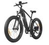 DYU King 750 48V 250W Elektrische Fiets voor Volwassenen – 26-inch stadsfiets met een bereik van meer dan 60 km – ideaal voor dagelijkse woon-werkverkeer en stadsritten.