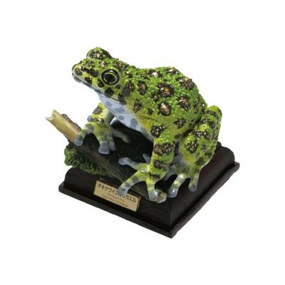 Nature Technicolor Japanese Frogs Special Edition Okinawa Isikawa Frog Gachagacha Capsule Toy