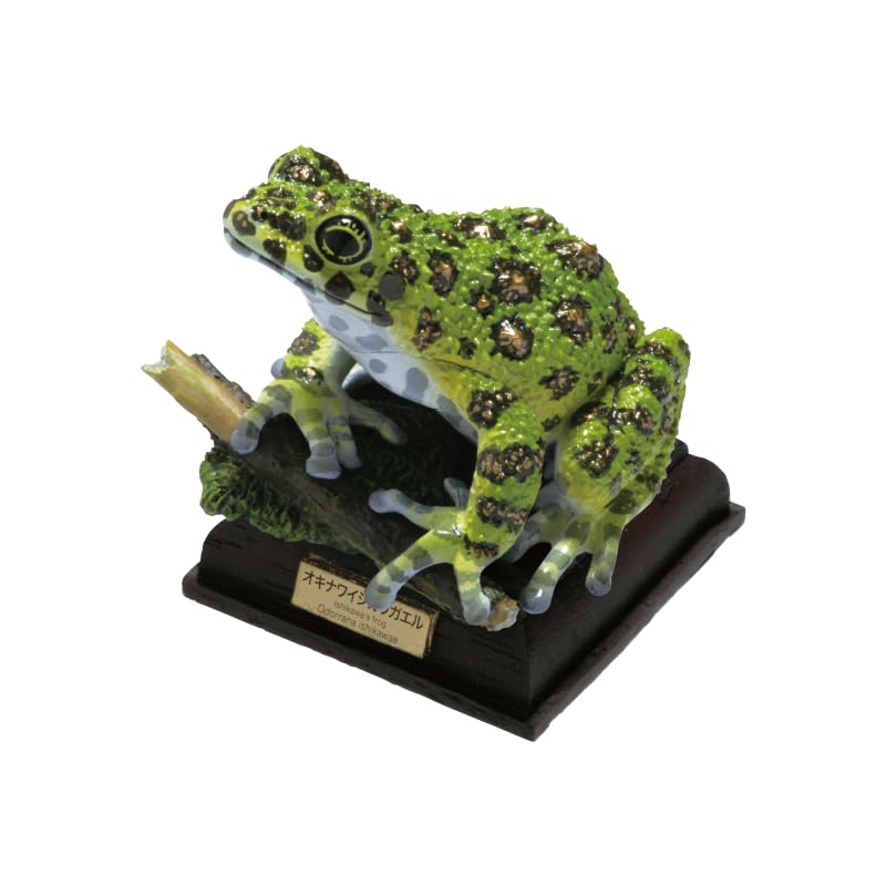 Природа Техниколор Японские Лягушки Специальное Издание Лягушка Исикава Окинавы Гачагача Капсульная Игрушка