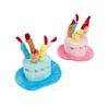 Pet Birthday & Holiday Plush Hat Toy