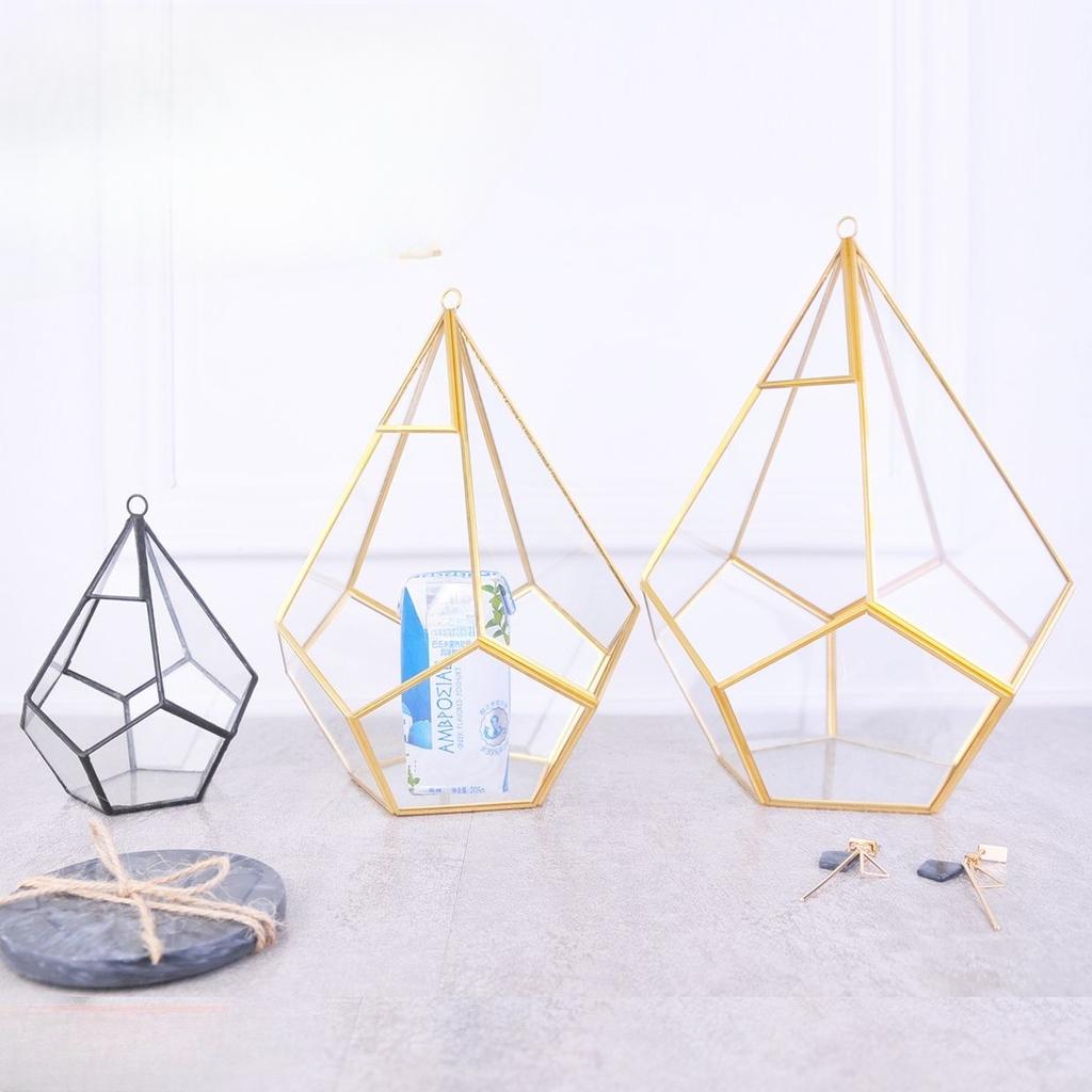 Micro Landscape Planters Moss Rainforest Aquariums Five-sided Diamond-shaped Glass Conservatories Aquatic Plant Vases
