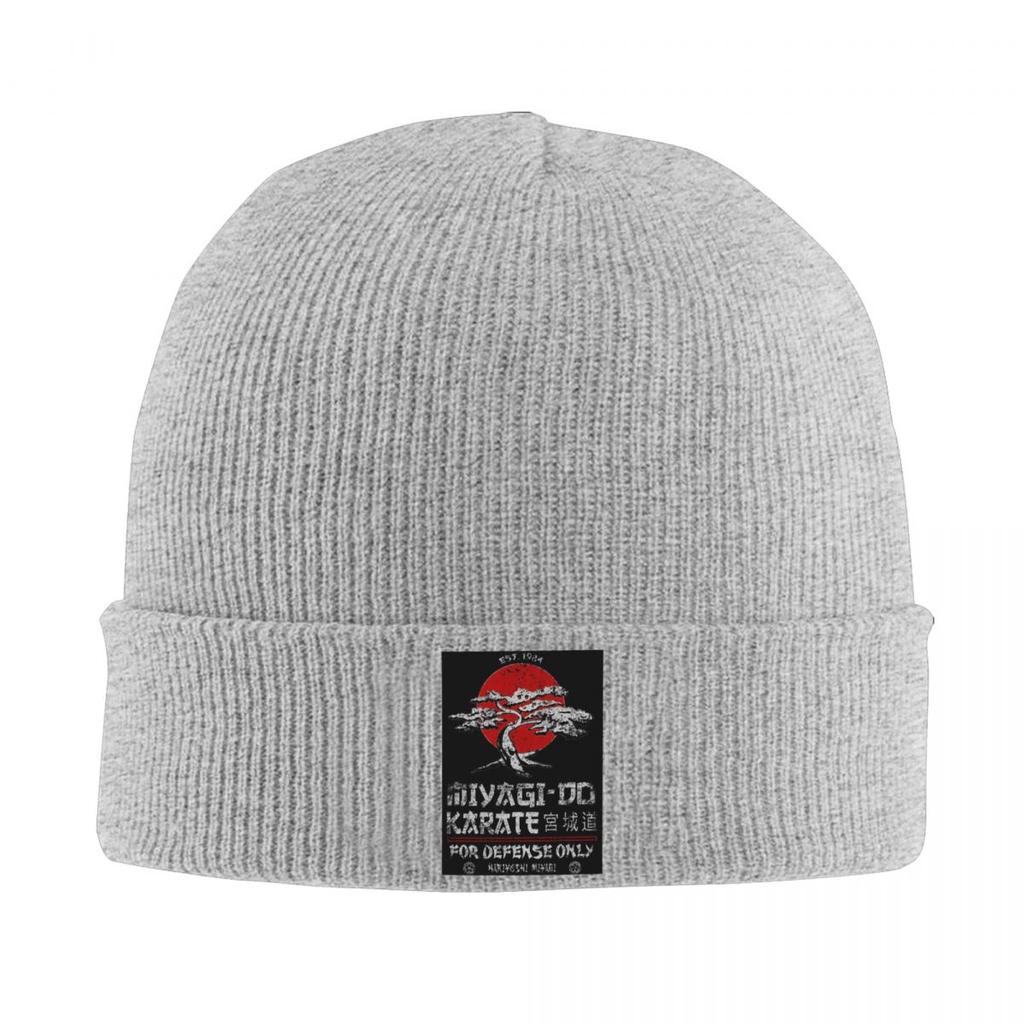 Karate Logo Warm Knitted Cap Fashion Bonnet Hat Autumn Winter Outdoor Beanies Hats for Men Women Adult