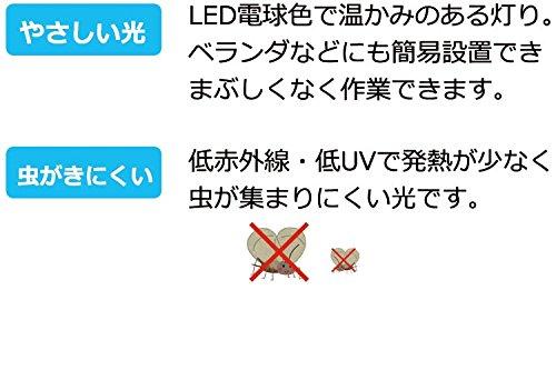 Elpa LED Sensor Light, Elegant Light, ESL-EX301BT