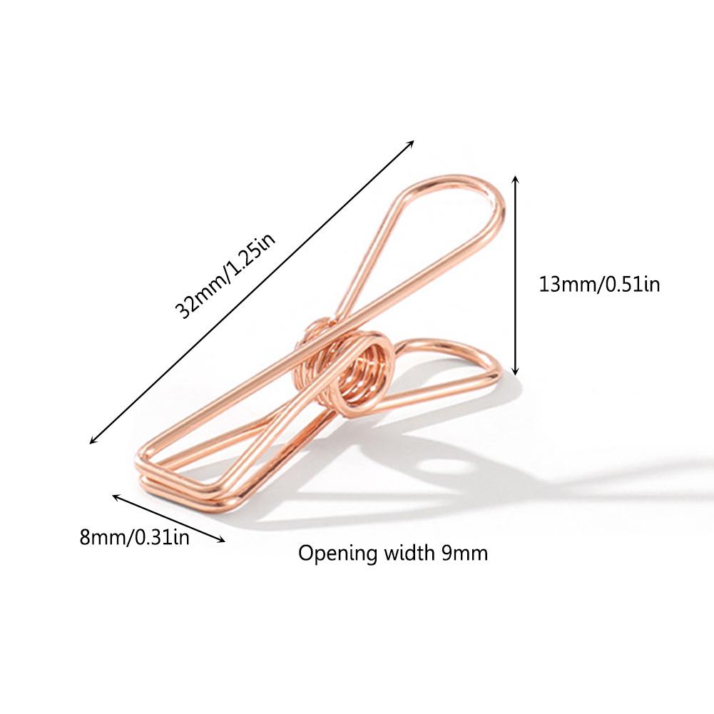 10pcs Steel Clips Multipurpose Portable Clothes Pins Pegs Holders Reusable Clothing Clamps Outdoor Light String Fixing Tool