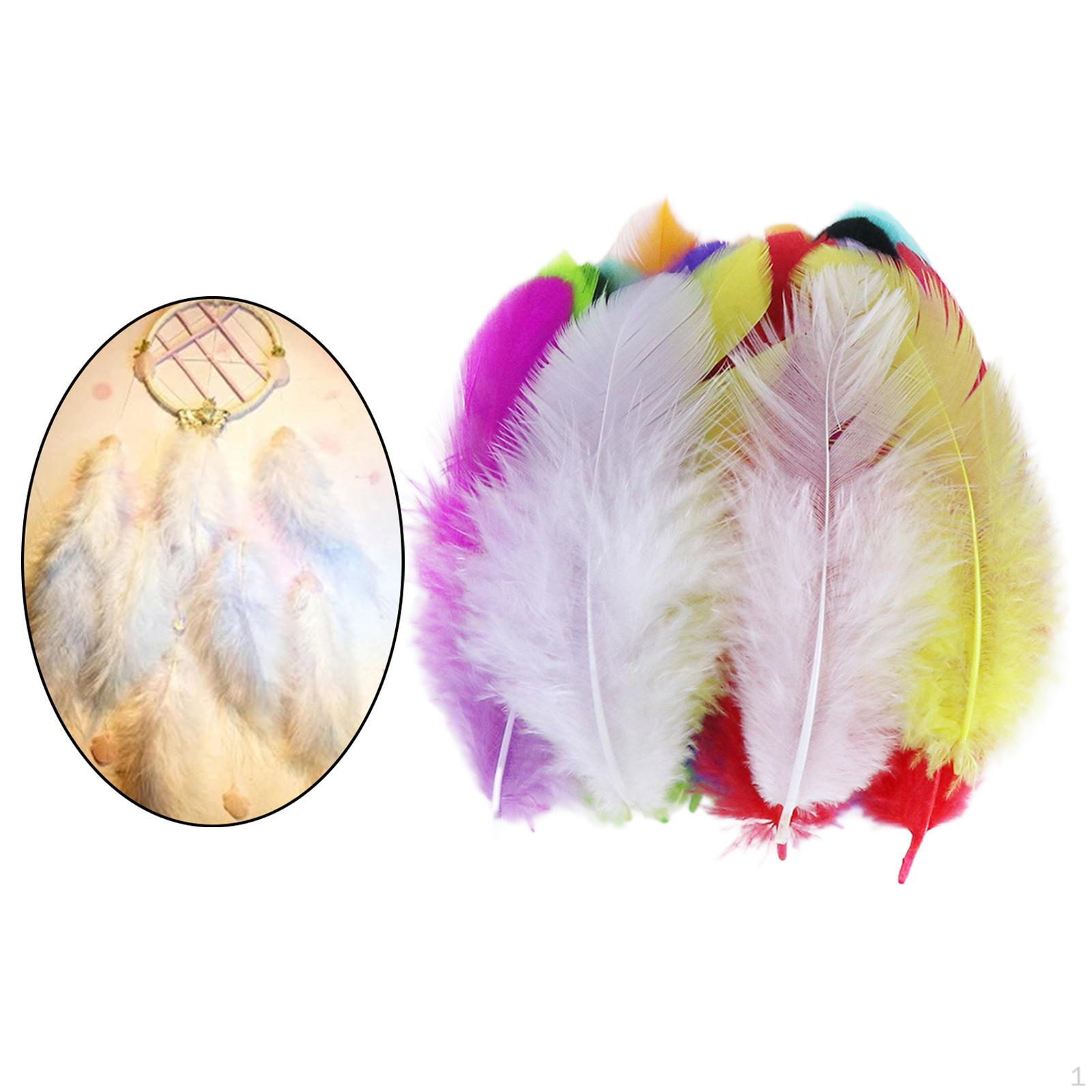 

100 Colorful Feathers Bright Colored Chicken Craft Pastel for Wedding Mixed