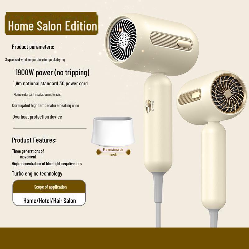 High-Power Blue Light Hair Dryer for Salon and Dorm Use