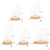 Cloche Tabletop Display Case Jar with Wooden Diy Craft Making Supplies