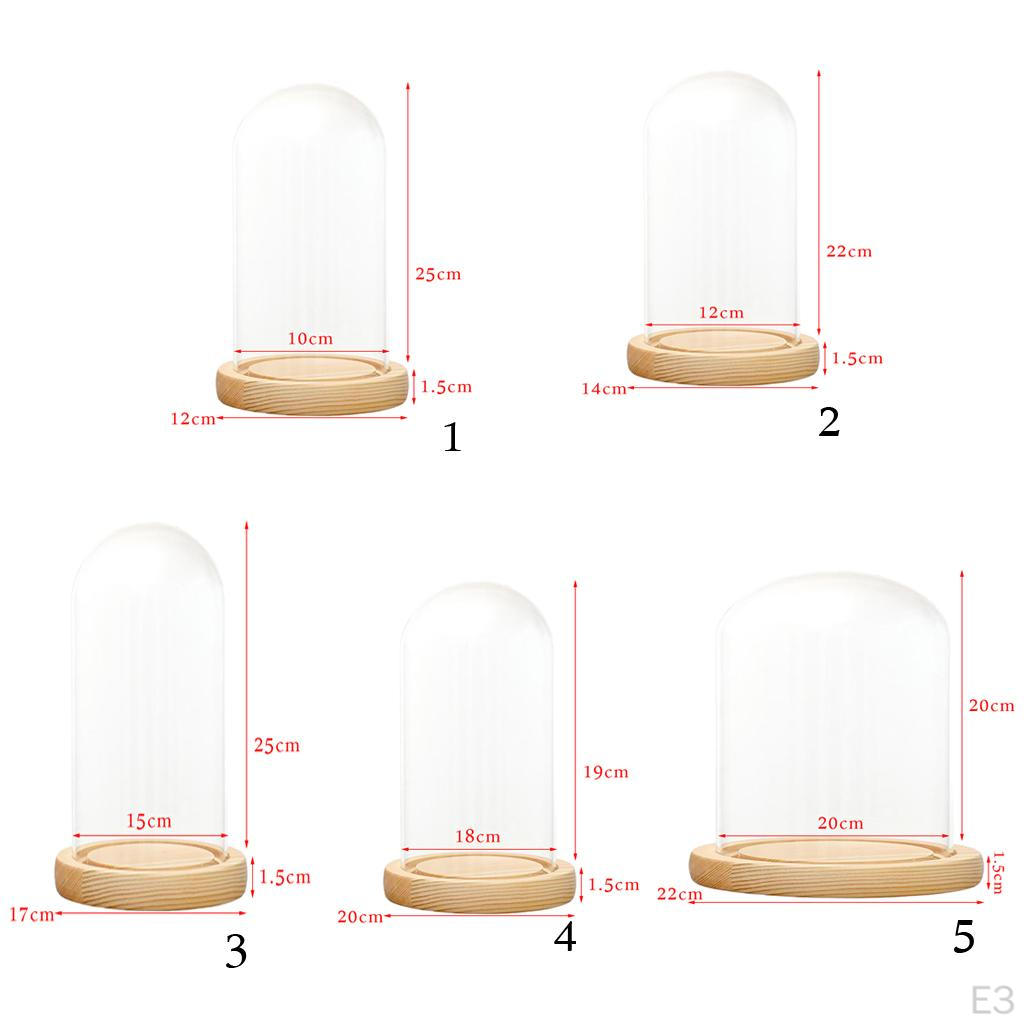 Cloche Tabletop Display Case Jar with Wooden Diy Craft Making Supplies