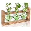 Minimalist Transparent Heart Shaped Glass Vase Wooden Stand Elegant Hydroponic Vase Colorful Desktop Vase Gift