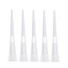Pipette Tip PP Plastic Transparent  Liquid Pipette Filter Tip for Laboratory