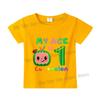 Cocomelons Kids Short Sleeve T-shirt Number 1-9 Cartoon Birthday Children Clothing Summer Sportswear Tshirt Boys Colorful Tee