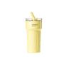 HOLOHOLO 700ml Insulated Stainless Steel Straw Water Bottle